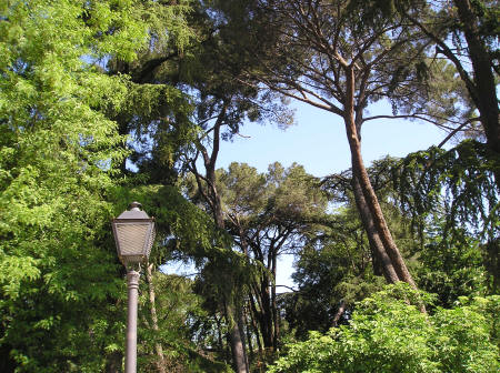 Royal Botanical Gardens in Madrid Spain